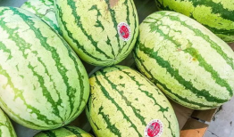 吃瓜爆料的模板怎么做,明星私生活大曝光，吃瓜群众狂欢时刻！